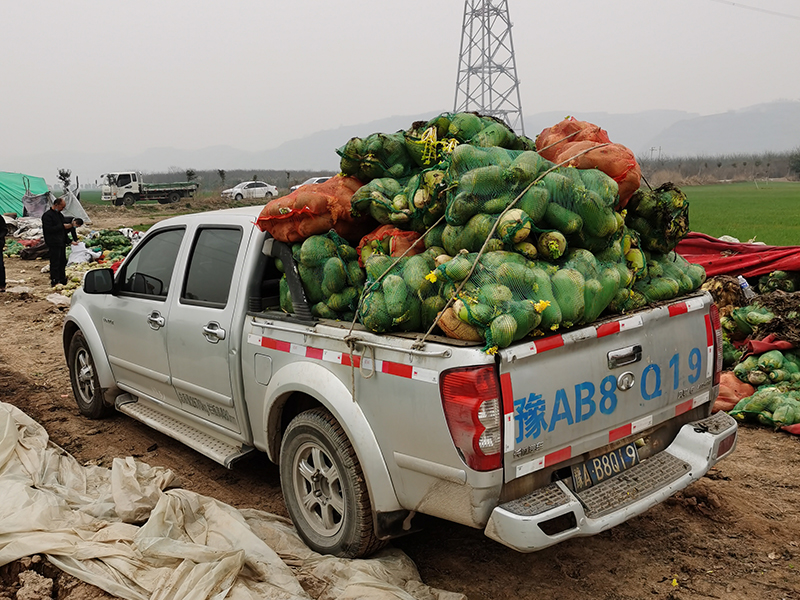 新冠疫情期間，幫扶蘿卜滯銷戶